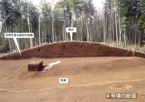奥に密林があり、手前の盛り上がったところが断面がわかるように削られている写真