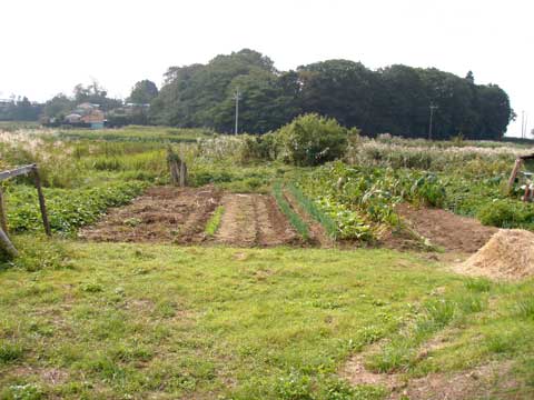 畑の写った蟻木城跡から見た小野山城跡の写真