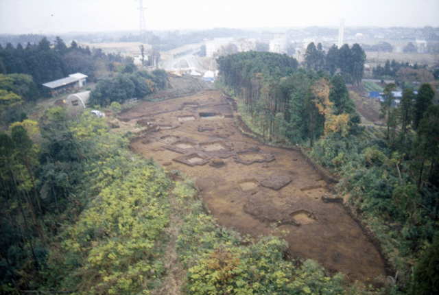 森林を切り開いた場所に広がる遺跡の写真