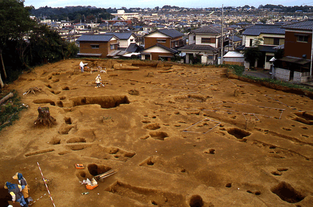 広い土地に所々穴があいており、そこを複数の人々が調査をしている様子の写真