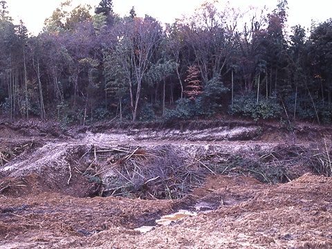 手前の窪みが山倉天王貝塚でその奥の窪みが堂谷貝塚の写真