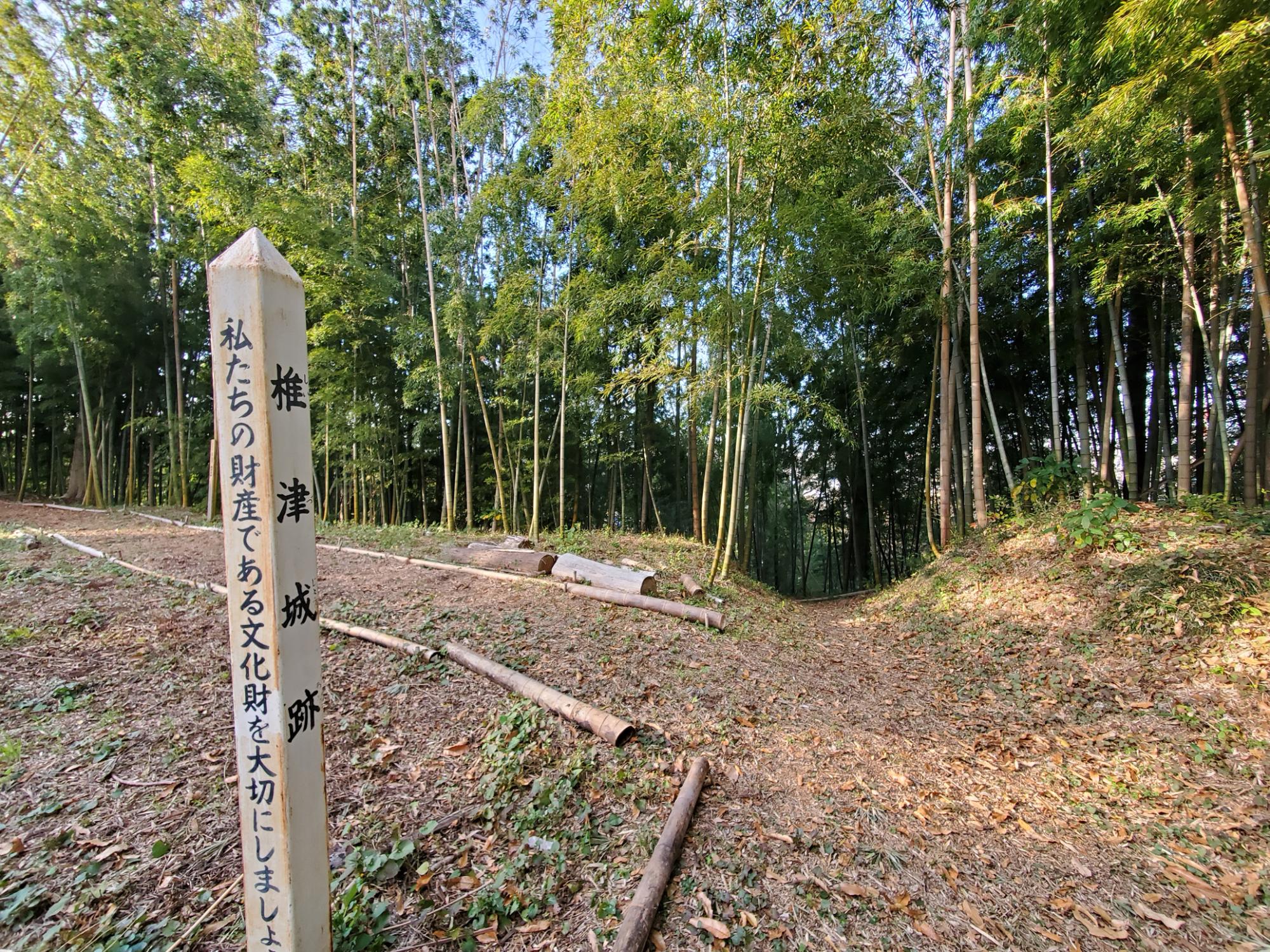 椎津城跡の写真