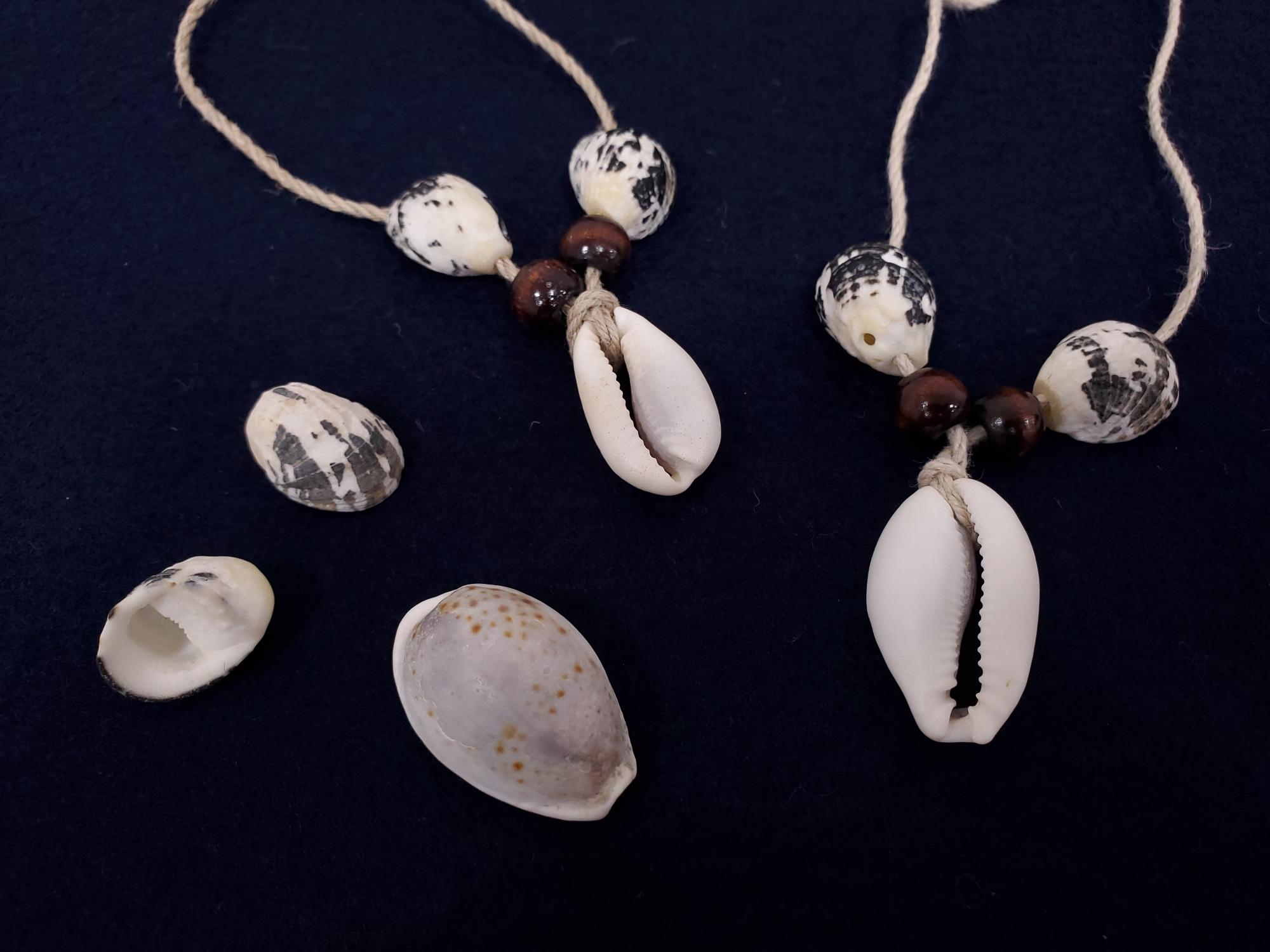 貝アクセサリーの写真