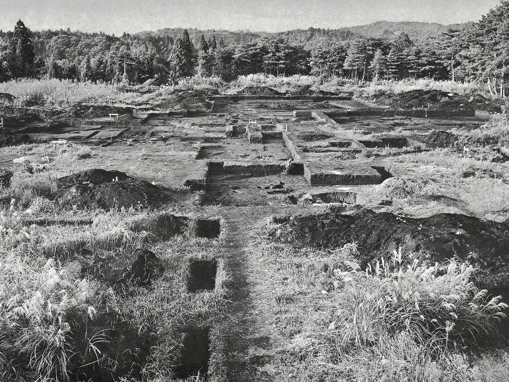 南総中学遺跡