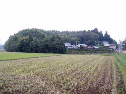 周囲に田んぼや民家があり、木々に覆われた葉木城跡遠景の写真