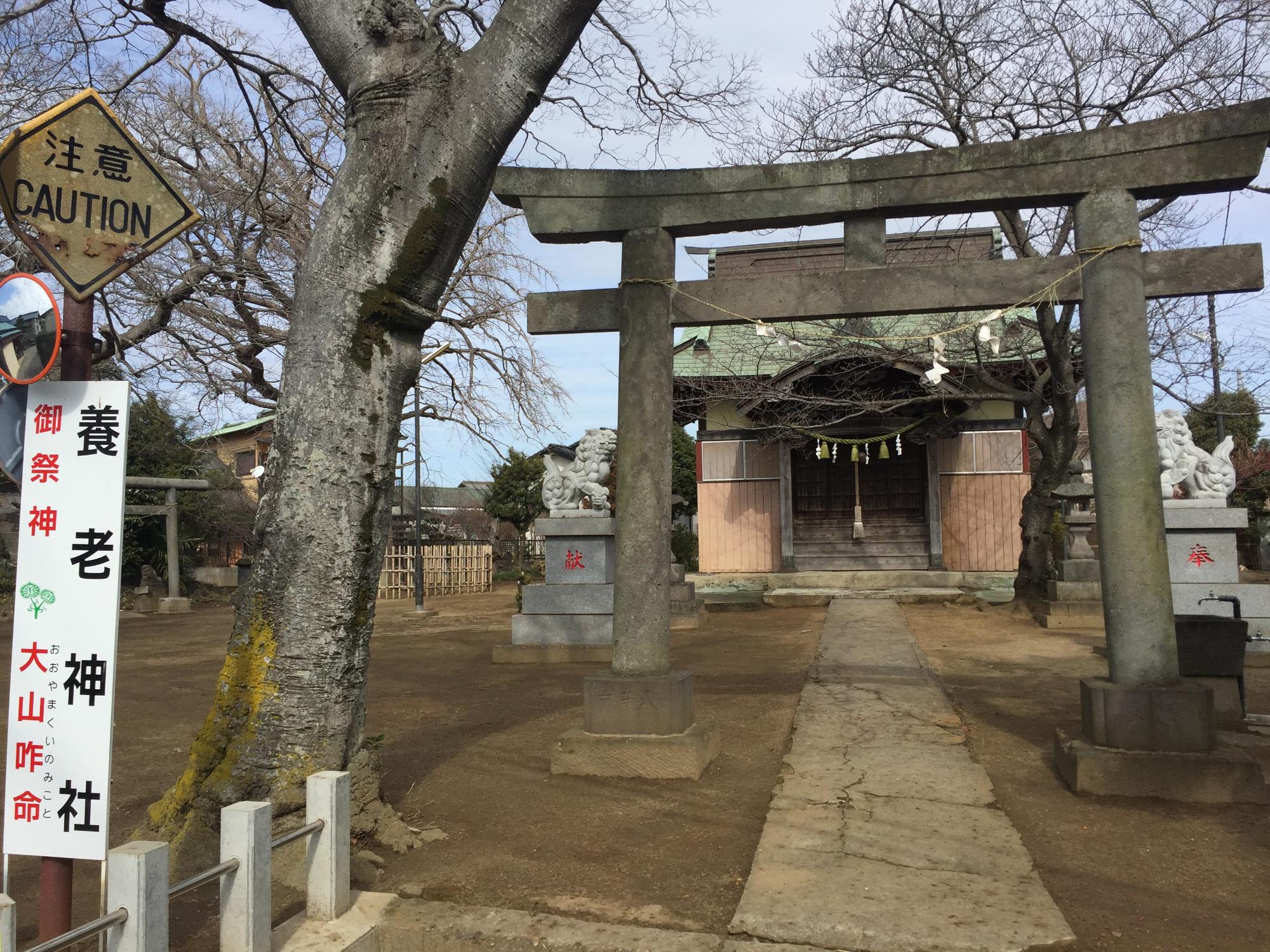 養老神社の写真