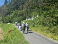 森の傍らにある墓所へ向かって歩いている参加者たちの後ろ姿の写真