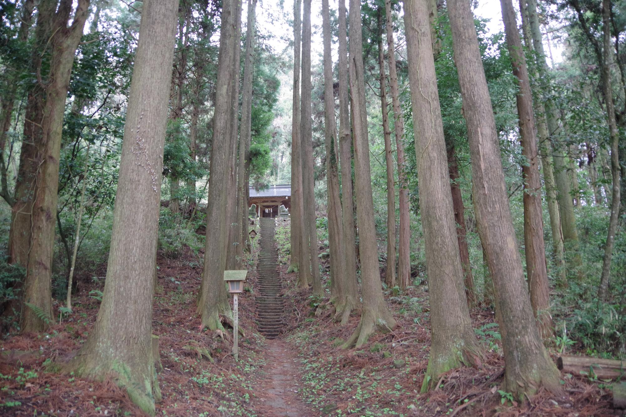 白山神社の写真