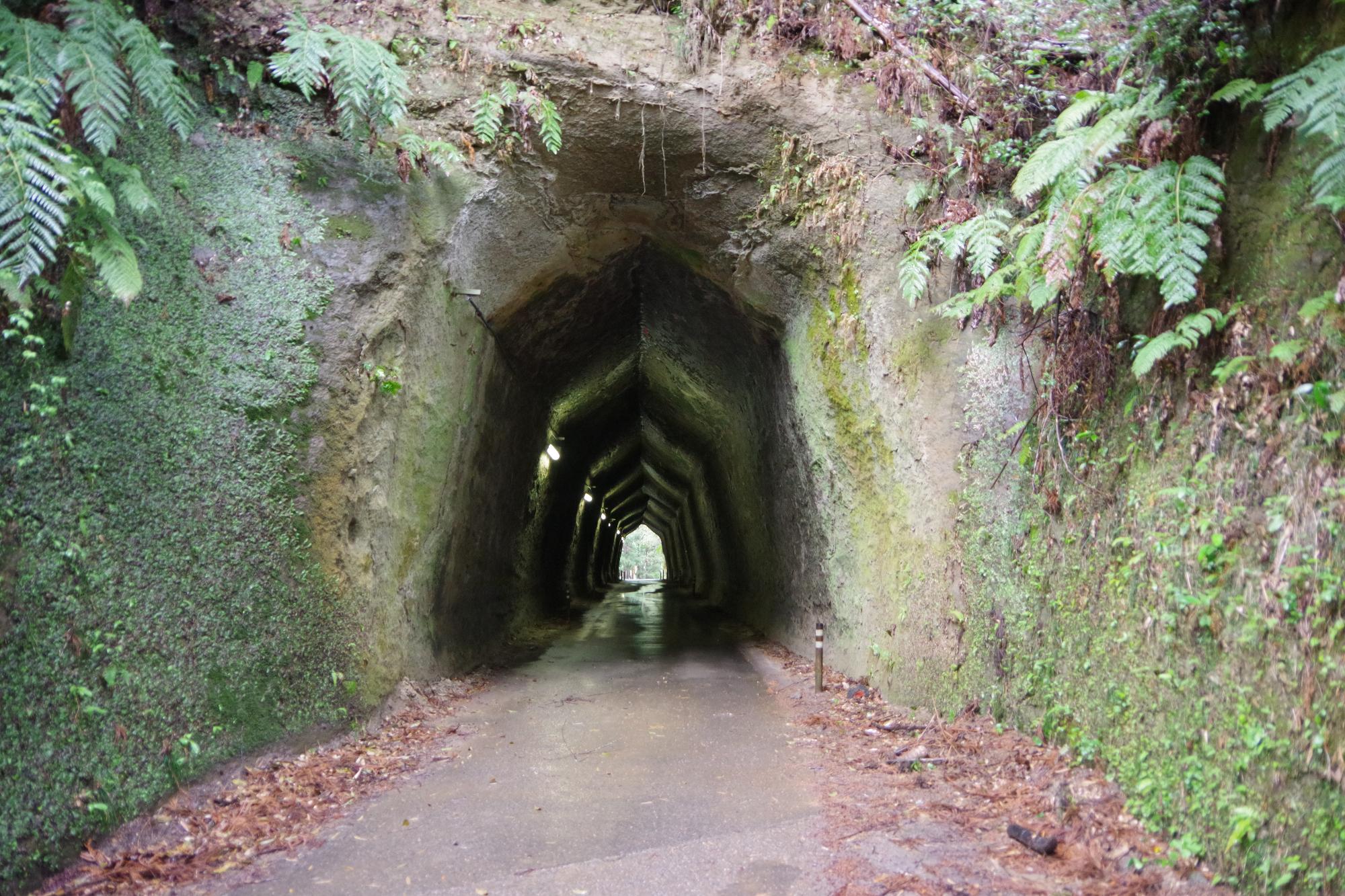 柿木台第一トンネルの写真