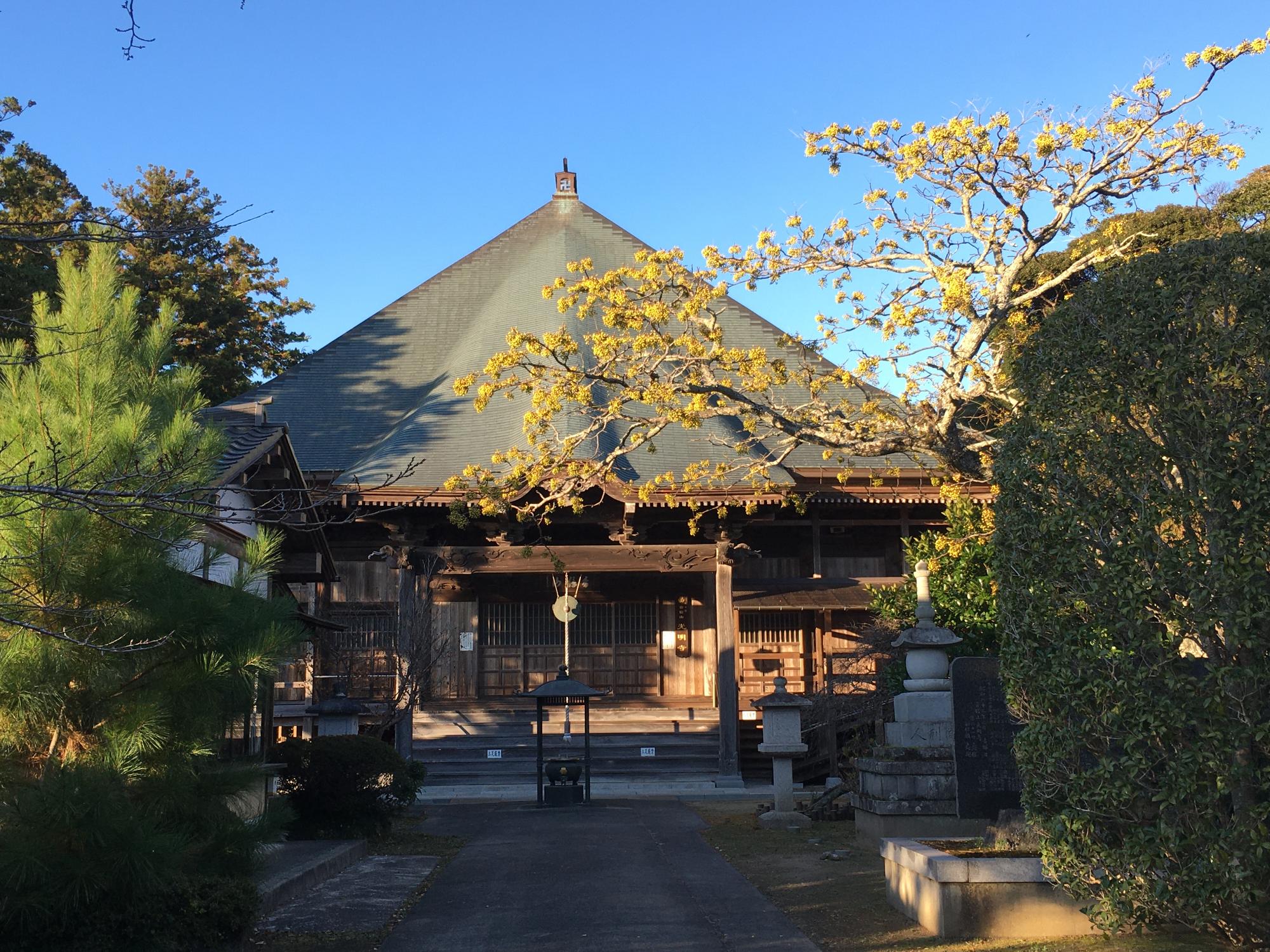 池和田光明寺の写真