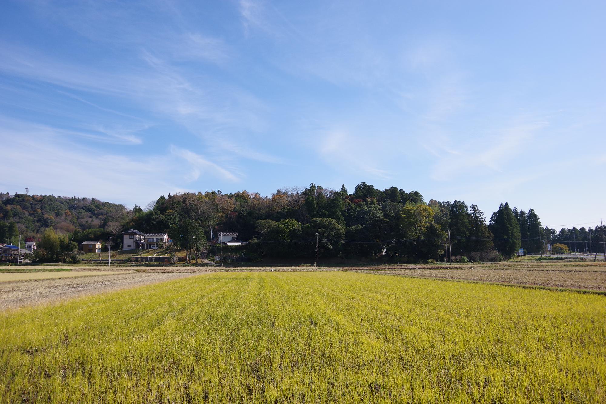 池和田城跡の写真