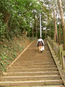 森の中にある石の階段を1人の男性が登る写真