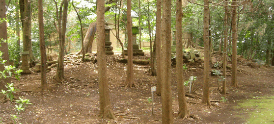 木々に囲まれた広い地面の上にある御社2号墳の写真