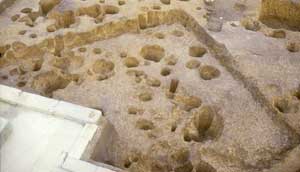 白みがかった黄土色の土の上に、無数の穴と四角く囲われた跡が残っている、宮山遺跡で発見された竪穴住居跡