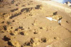黄土色の土の上に無数の穴が開いている、宮山遺跡での竪穴建物跡の写真