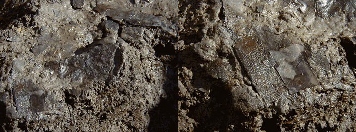 全体的に黒く、粒の細かい土や泥、粒の大きい土や泥が混在する土を接写した写真