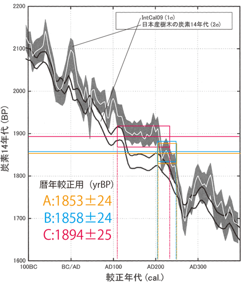 日本産樹木による較正曲線グラフ