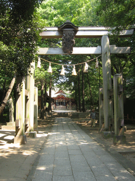 鳥居から正面に見える拝殿まで木々に囲まれた石畳の参道が続いている表参道の写真