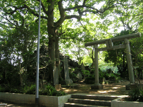 階段を数段上がった場所に鳥居があり、左側の大きな木の後ろに小高い山のような砂堆上の浅間塚と浅間神社の写真