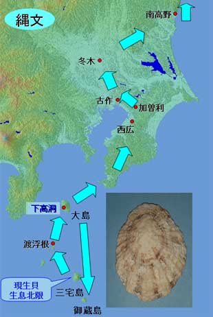 縄文時代の「貝の道」を示した地図