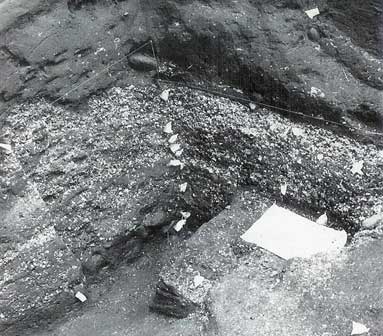 土が掘り起こされ、貝層や遺物包含層が見られる下高洞遺跡の写真