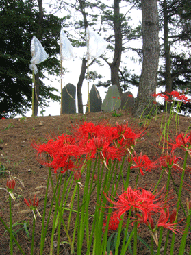 墳丘に彼岸花が咲き、樹木の周辺に複数の石碑がある写真
