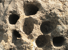 穴が開いている凝灰岩を拡大した写真