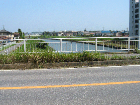 新村田橋の上から撮影した、村田川と堤防の写真