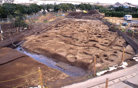 土が掘り起こされ、遺跡の跡が形どられて、所々に大小の穴や溝がある棗塚遺跡の写真