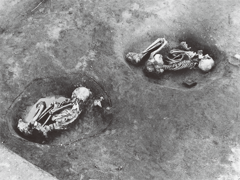 2つの穴に膝を曲げ丸まった状態の人骨が発掘された写真