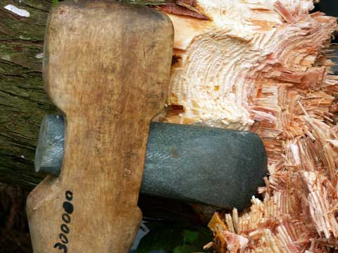 石斧に木の柄を取り付けられた斧と伐採された木の切断面がササクレだってガタガタになっている写真