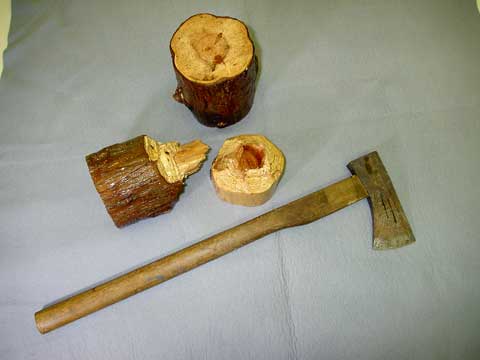 木の柄の先に、刃の先端が鋭く尖った鉄斧と伐採された木材の見本が並んでいる写真