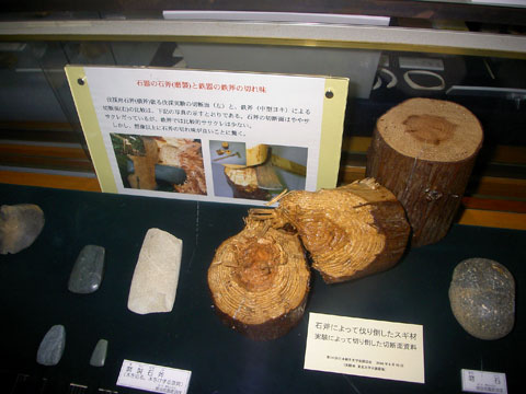 磨製石斧と磨製石斧で伐採した木材の切断面が展示されている写真
