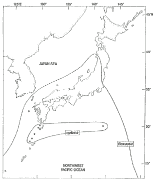 日本と日本周辺の海のオオツタノハの分布域を示した地図