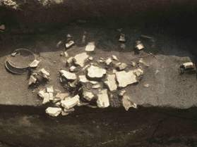 48号墳で発見された円筒埴輪出土の写真