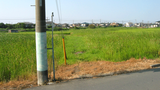 住宅街から少し離れた場所にある、雑草の生えた空き地の写真