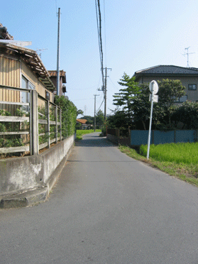 民家と民家の間にある、脇に雑草が生えた細い道路の写真