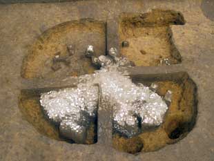 田の字型に掘り起こされた遺構に、白い貝のような物が沢山出土している写真