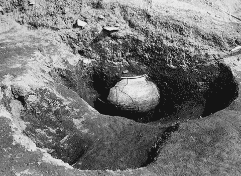 掘った穴から表面が見えている土器の写真