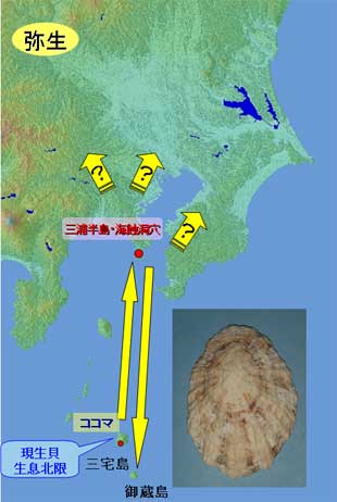 弥生時代の貝の道を示した地図