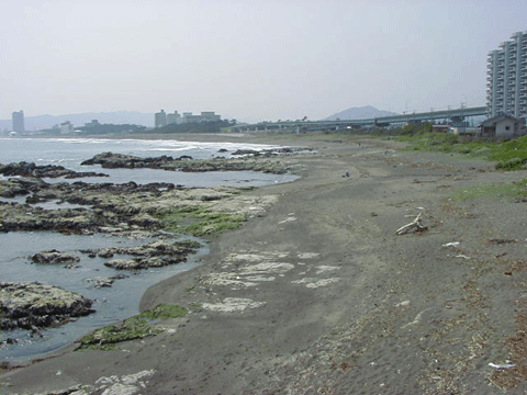 奥に町が見える海岸の写真