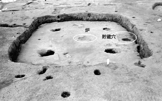 炉と貯蔵穴が白く囲まれた南中台遺跡弥生時代の竪穴住居跡SI13のモノクロ写真
