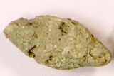 黄土色をした糞の化石の写真