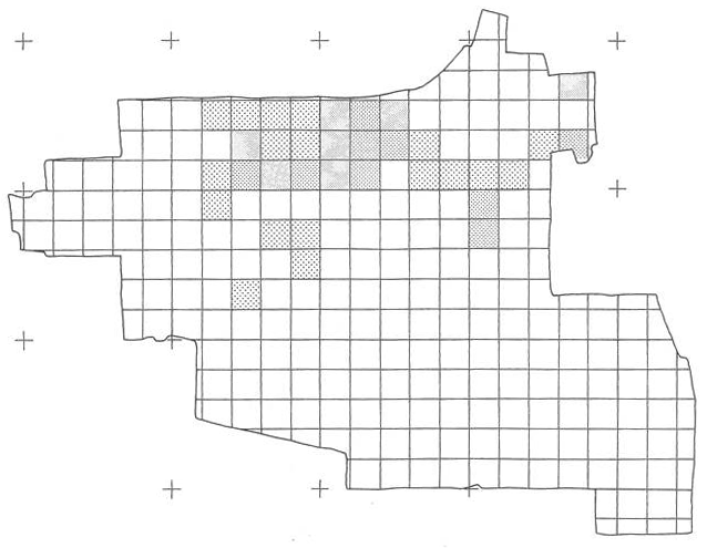 地図の中を正方形で区切り、一定の範囲内にある土器の量を示すために模様をつけた分布図