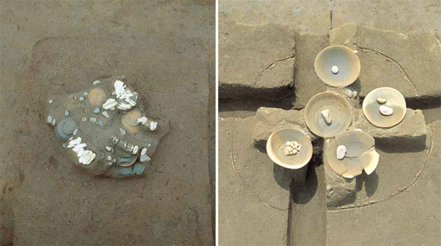 左側に大きな石の塊のようなものに貝殻が埋まっている様子、右側にはきれいな丸の形をした貝のお皿のようなものが5つ並び、それぞれに小さな白い石か貝殻のようなものが複数置かれている様子の写真
