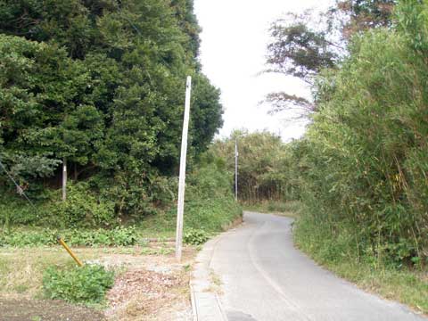 両端に木があって真ん中に道路のある蟻木城跡の東側虎口の写真