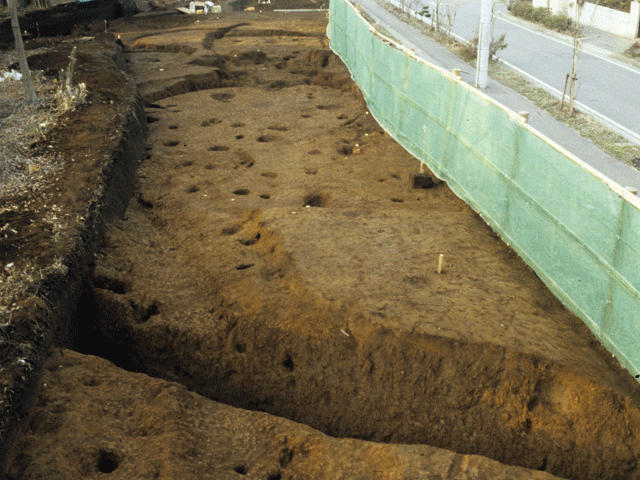 竪穴住居跡と環濠のある祇園原貝塚の写真
