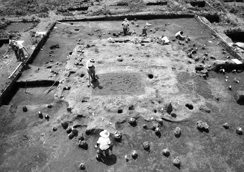 点状にみえる遺物と、300点を超える釘や鎹などの建築部材のほか、鉄製の風鐸・風招などが出土している2号基壇を北から撮影したモノクロの調査風景の写真