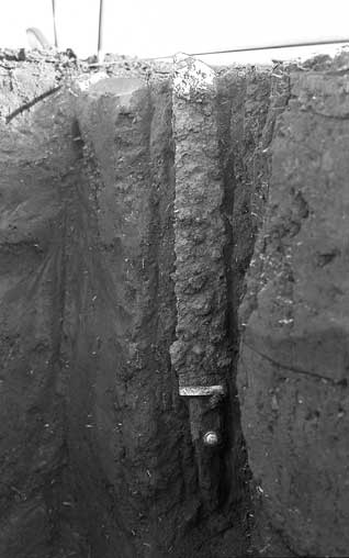 きっさきを上にした状態で土の壁に貼り付いているように出土した鉄刀のモノクロ写真