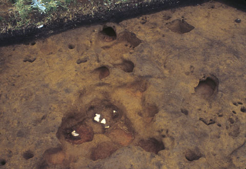 縄文時代早期の奉免上原台遺跡で発見されたアメーバ状にひろがっているいくつかの炉穴の例の写真。